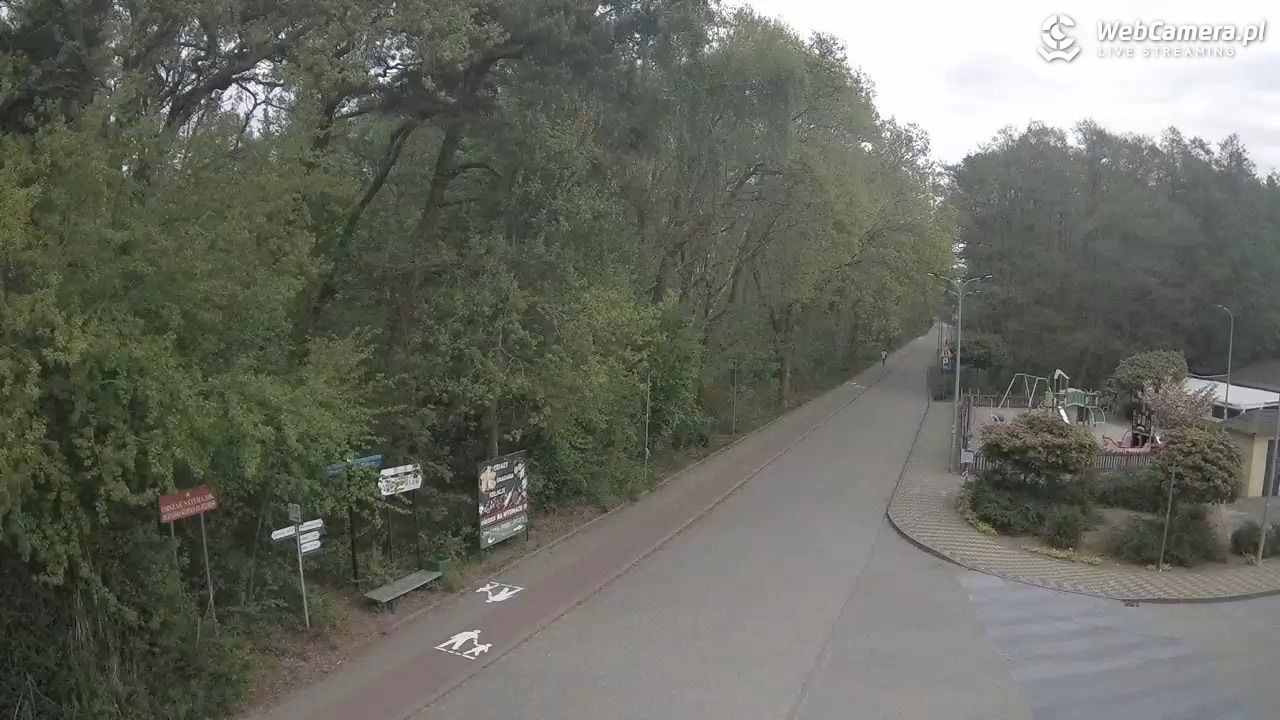 WICIE - widok na deptak - 18 maj 2026, 12:00