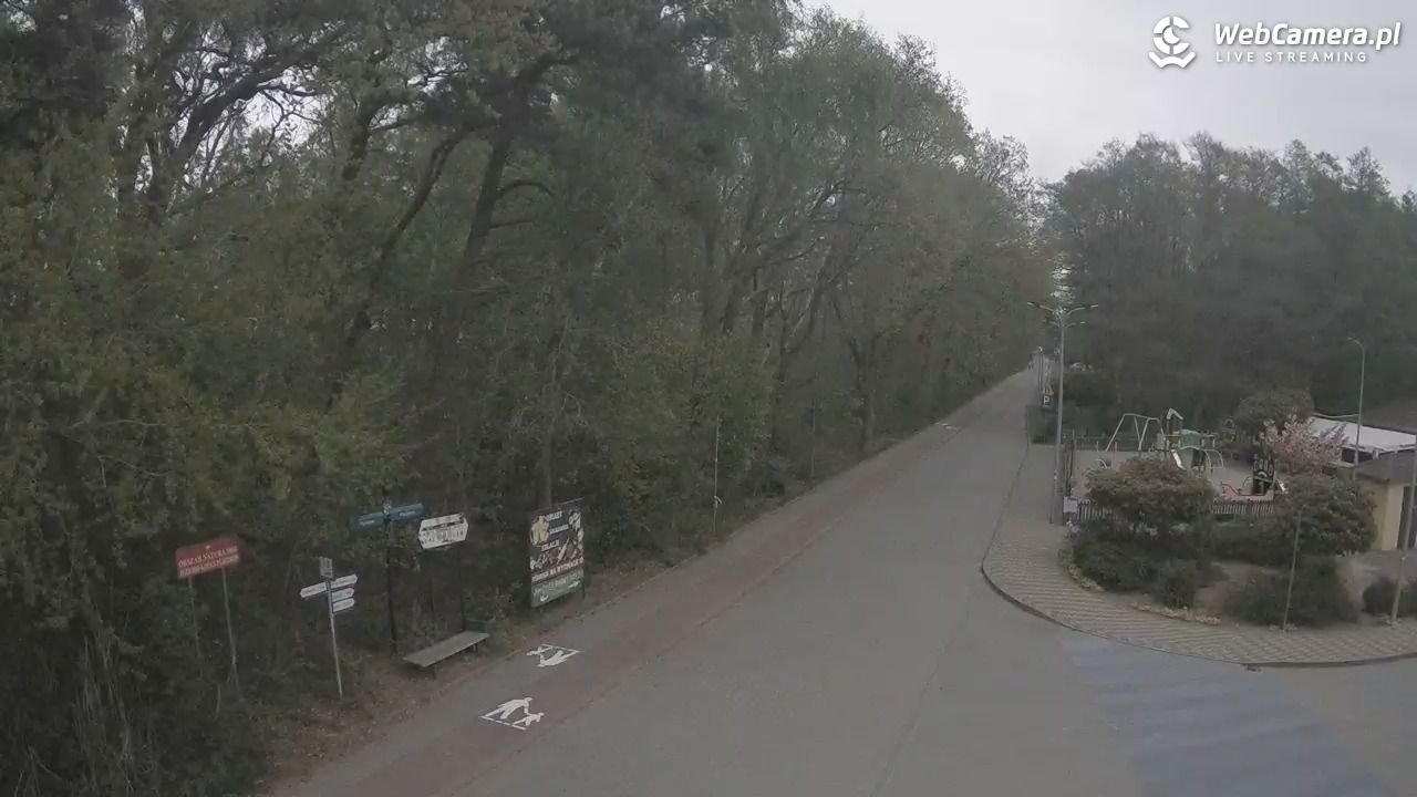 WICIE - widok na deptak - 12 maj 2026, 08:27