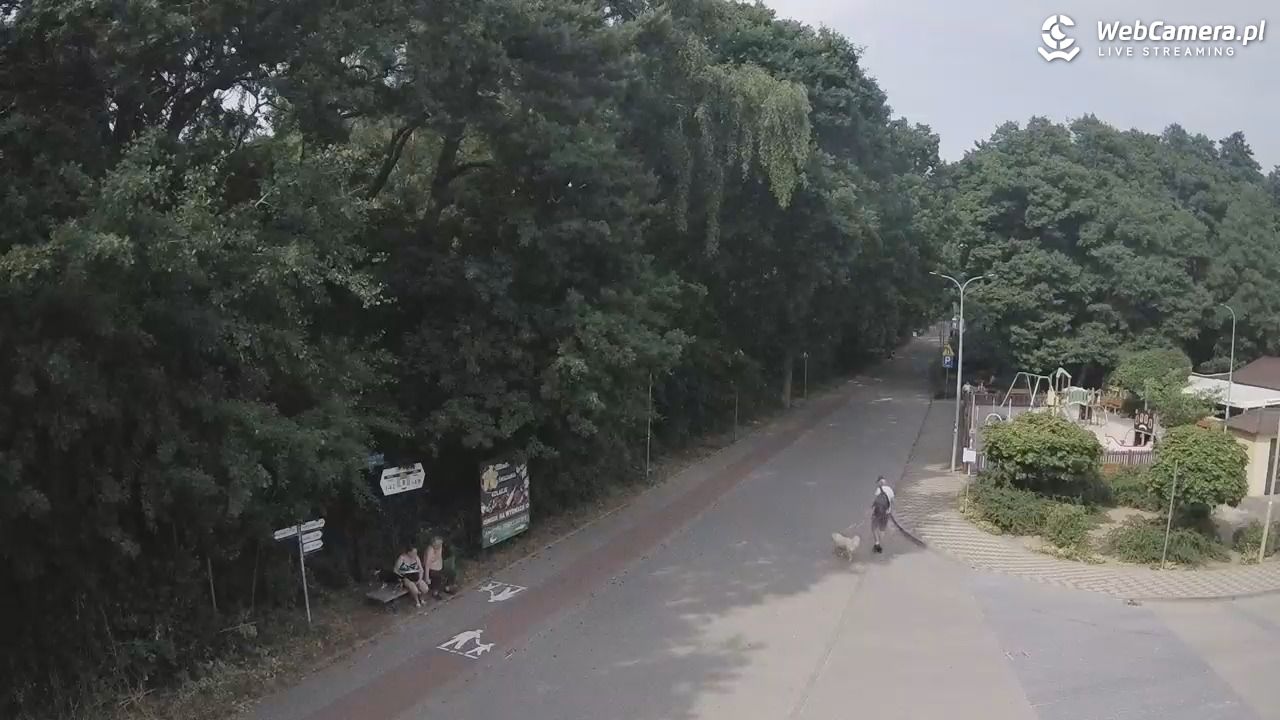 WICIE - widok na deptak - 28 czerwiec 2026, 16:31