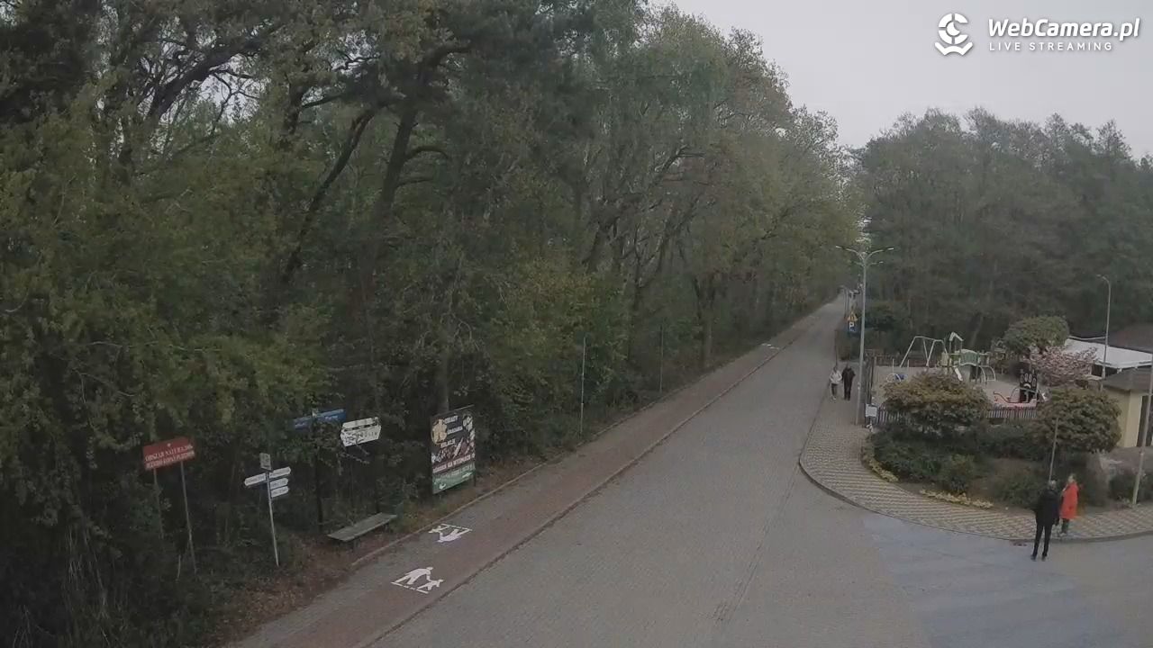 WICIE - widok na deptak - 15 maj 2026, 16:53