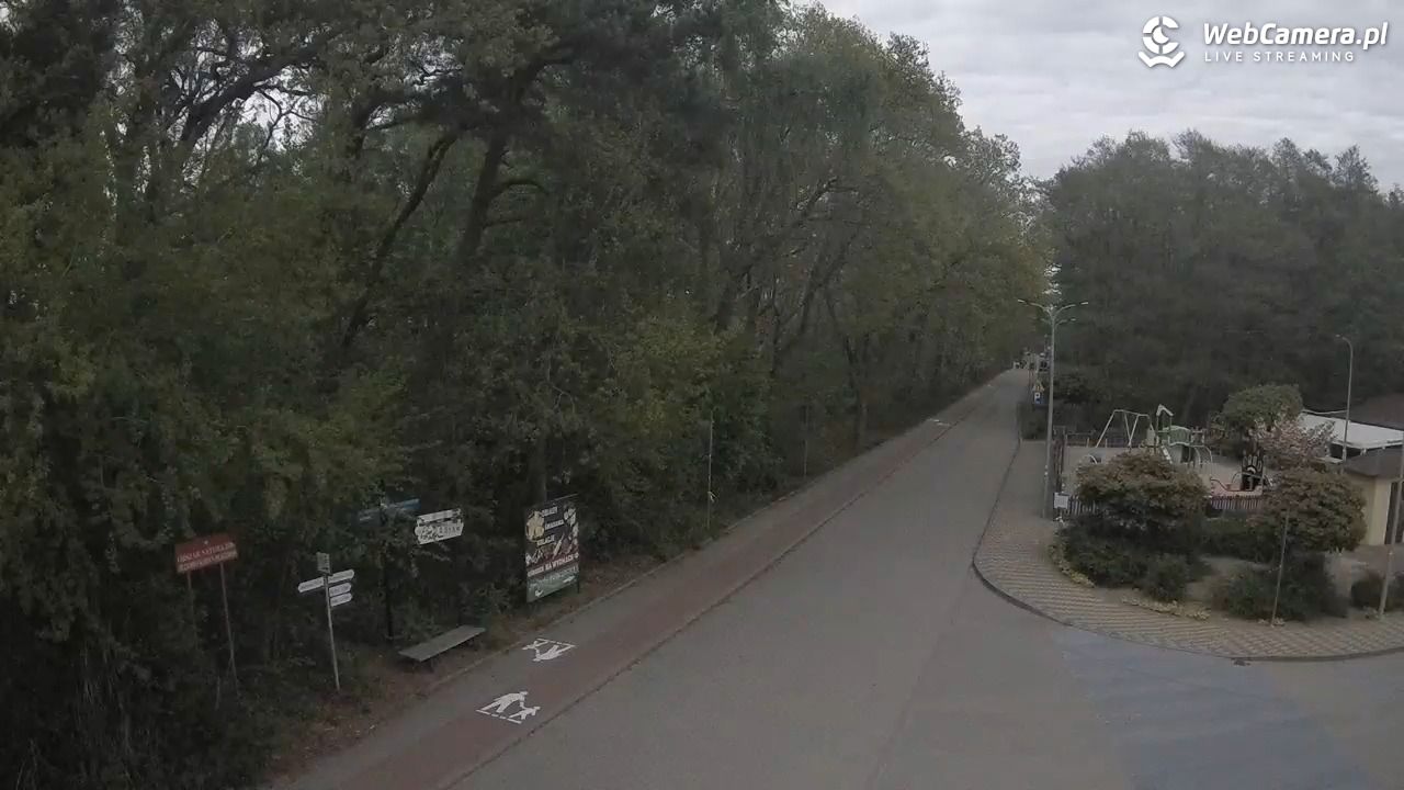 WICIE - widok na deptak - 17 maj 2026, 18:02