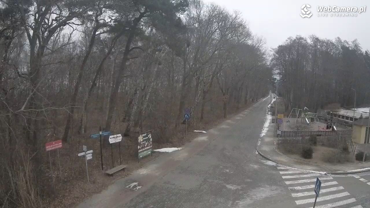 WICIE - widok na deptak - 04 luty 2026, 08:36