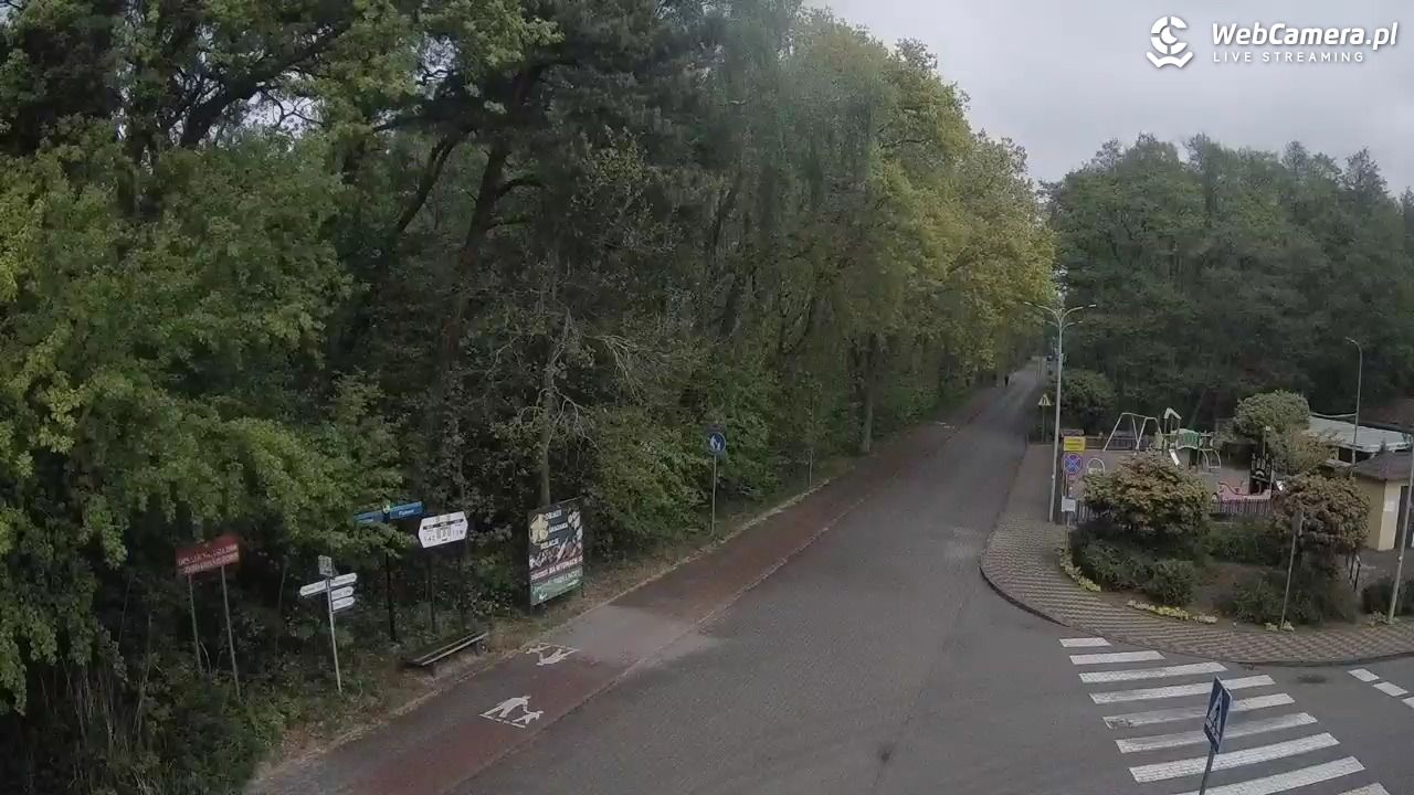 WICIE - widok na deptak - 15 maj 2025, 11:37