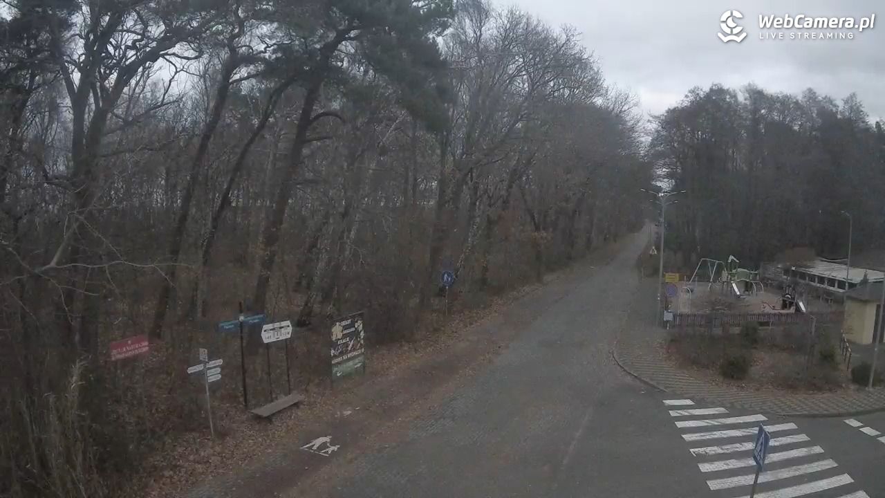 WICIE - widok na deptak - 26 listopad 2025, 15:15