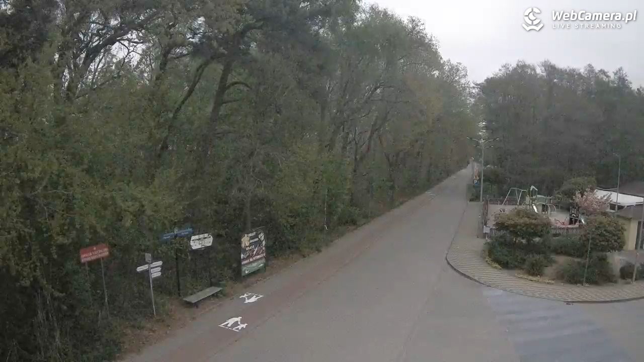 WICIE - widok na deptak - 12 maj 2026, 08:57