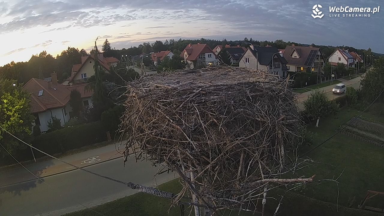 Pasłęk - gniazdo bociana - 21 sierpień 2025, 20:24