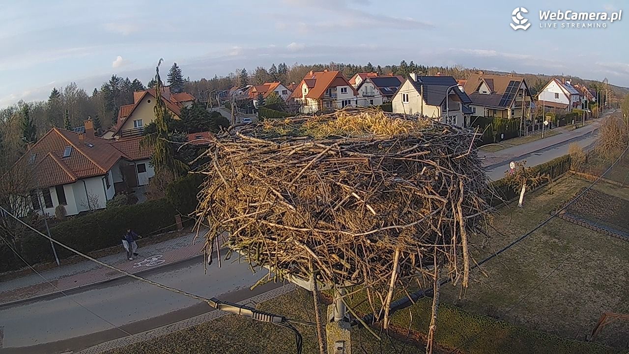 Pasłęk - gniazdo bociana - 12 marzec 2026, 17:00