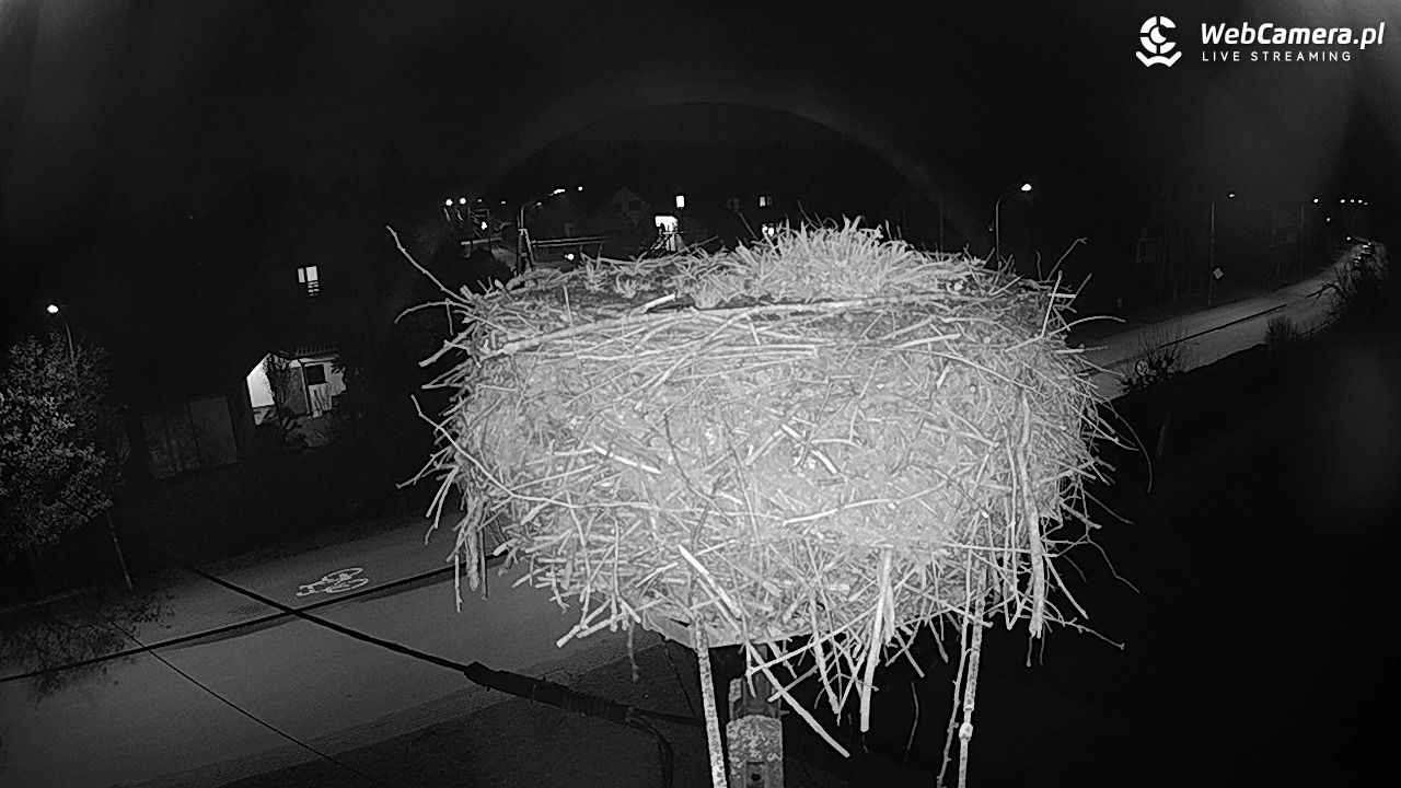 Pasłęk - gniazdo bociana - 11 grudzień 2025, 16:19