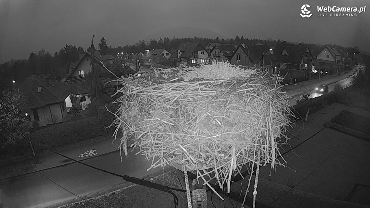 Pasłęk - gniazdo bociana - 06 grudzień 2025, 15:43