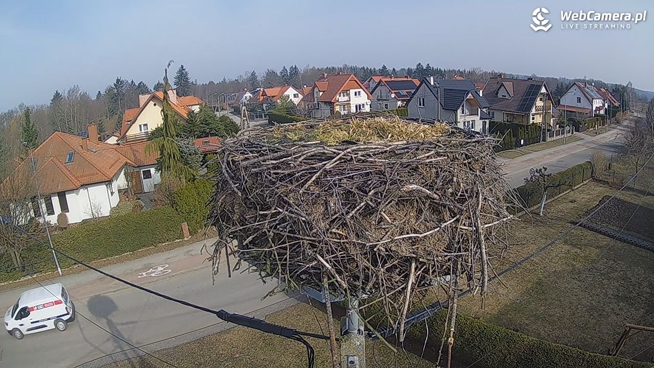 Pasłęk - gniazdo bociana - 11 marzec 2026, 10:08