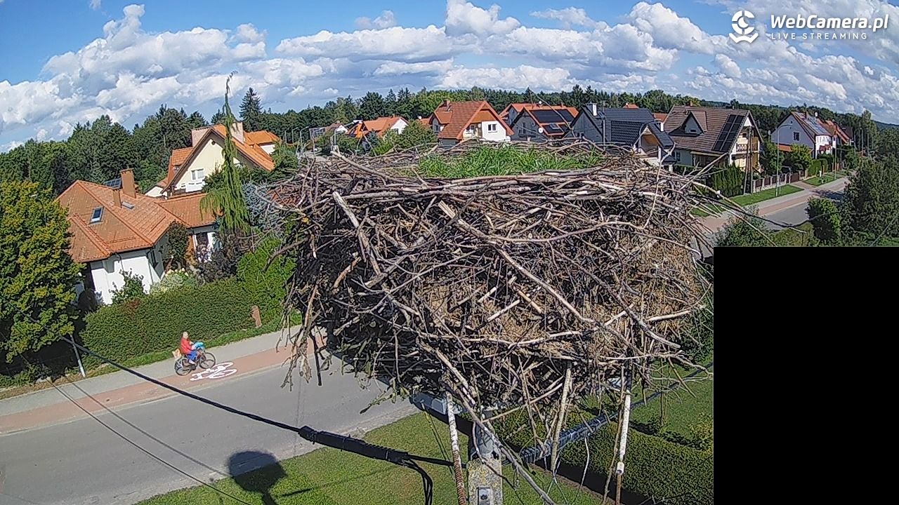 Pasłęk - gniazdo bociana białego - 12 wresień 2026, 11:43