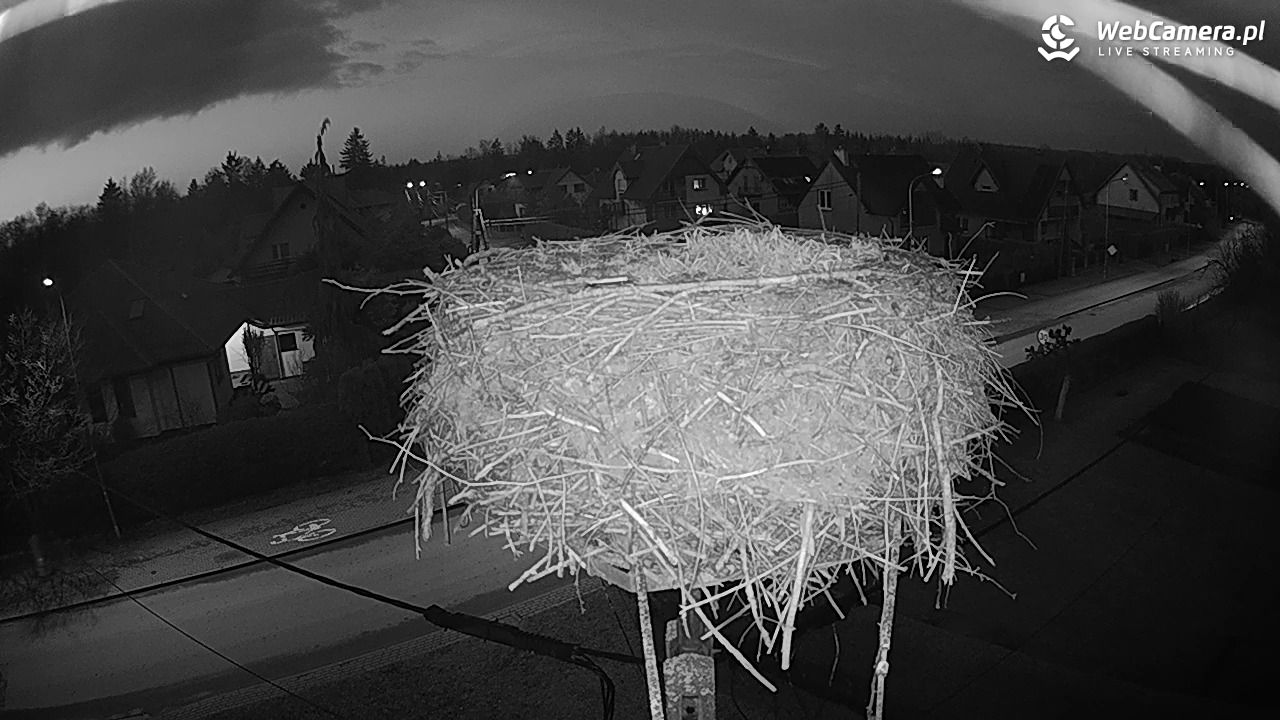 Pasłęk - gniazdo bociana - 12 marzec 2026, 18:17