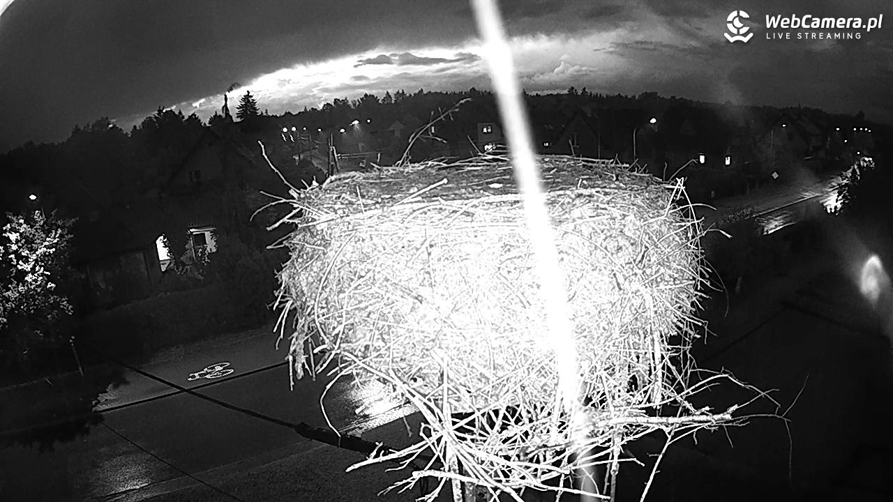 Pasłęk - gniazdo bociana - 25 sierpień 2025, 20:24