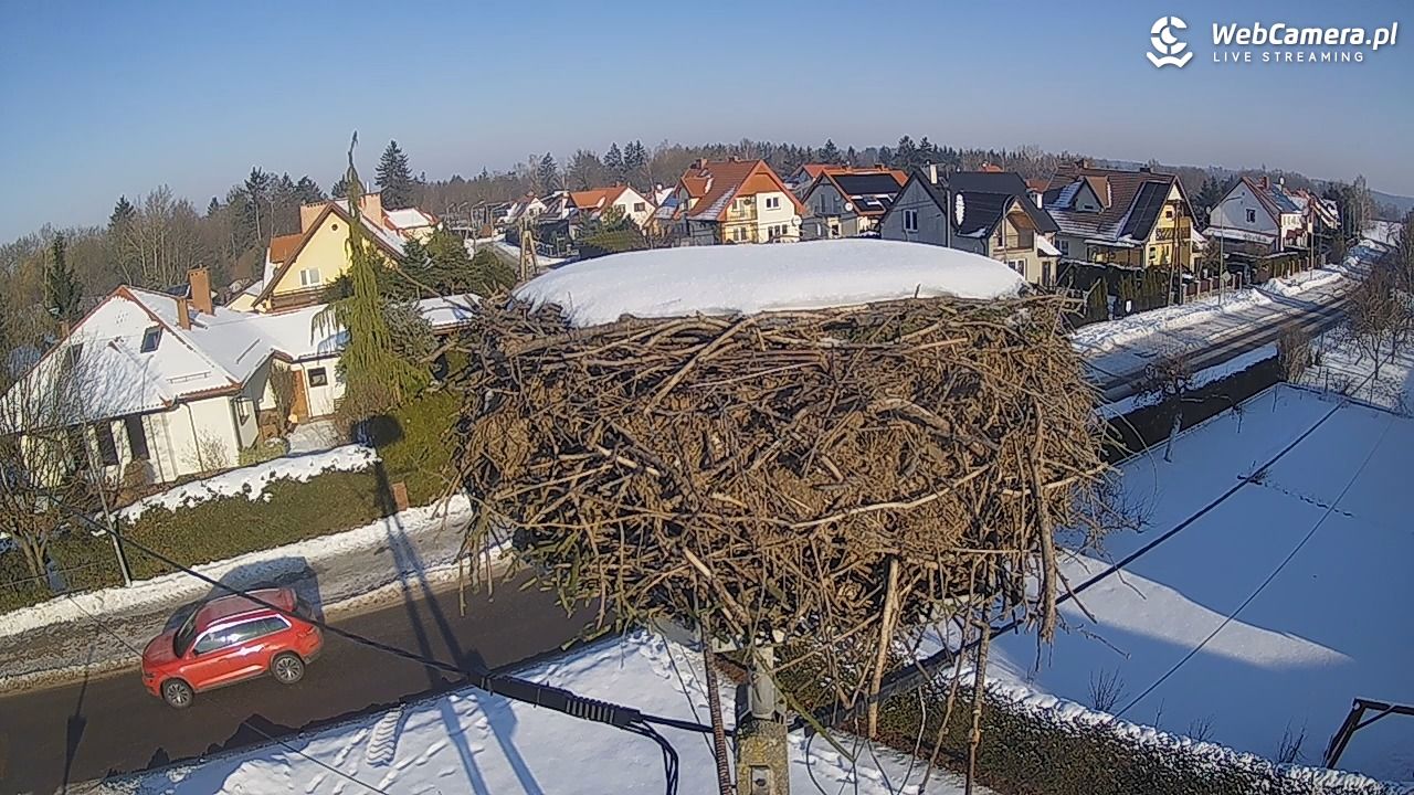 Pasłęk - gniazdo bociana - 20 styczeń 2026, 11:11
