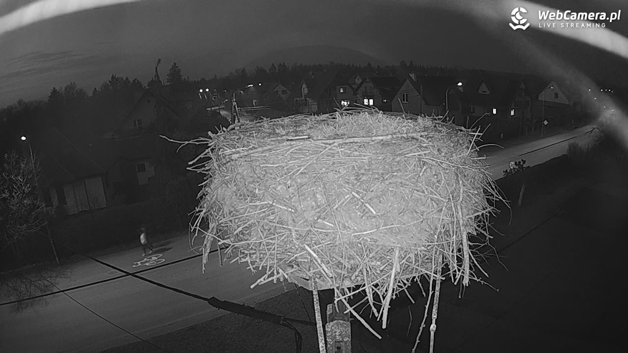 Pasłęk - gniazdo bociana - 11 marzec 2026, 18:18