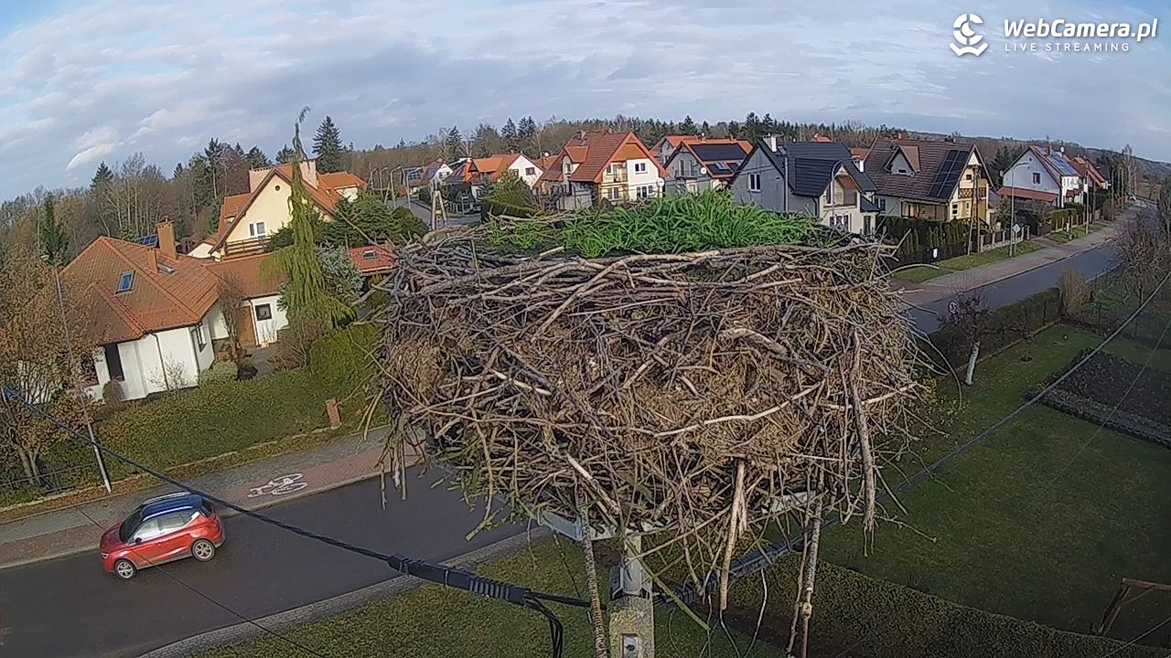 Pasłęk - gniazdo bociana - 11 grudzień 2025, 10:54