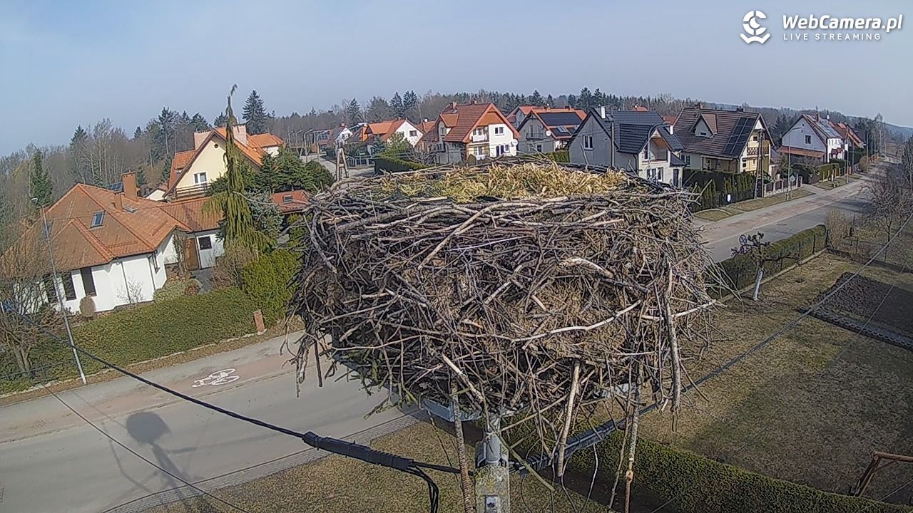 Pasłęk - gniazdo bociana - 11 marzec 2026, 10:10