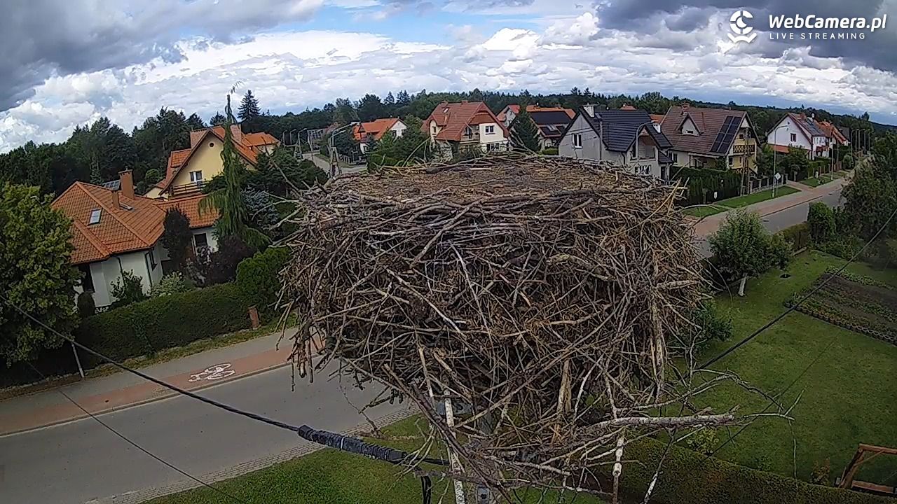 Pasłęk - gniazdo bociana - 24 sierpień 2025, 13:08