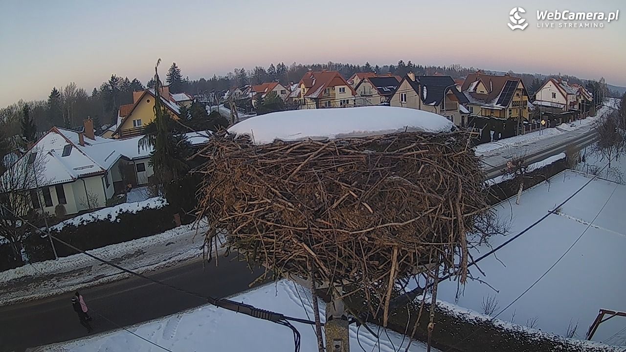 Pasłęk - gniazdo bociana - 20 styczeń 2026, 15:45