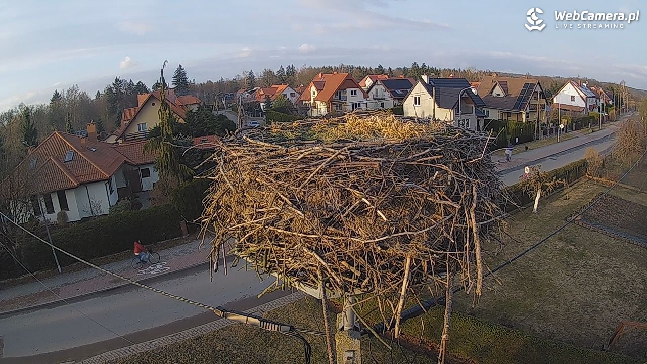 Pasłęk - gniazdo bociana - 12 marzec 2026, 17:00