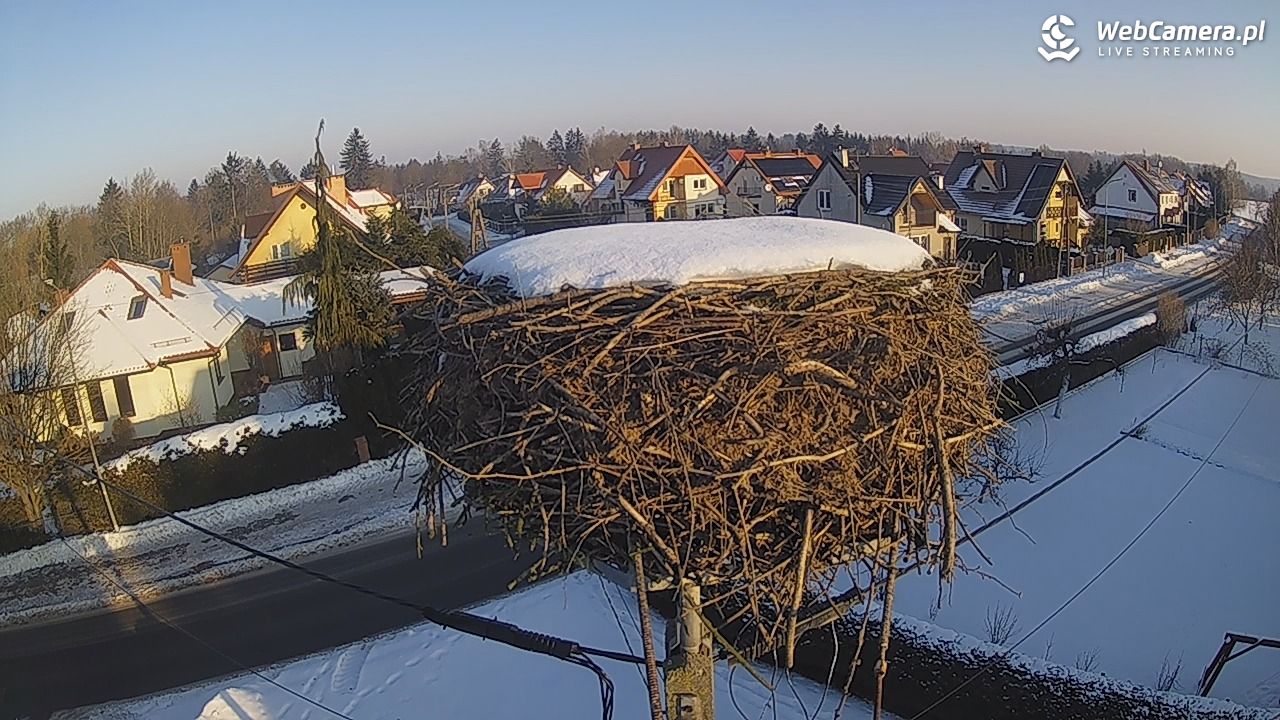 Pasłęk - gniazdo bociana - 20 styczeń 2026, 09:09