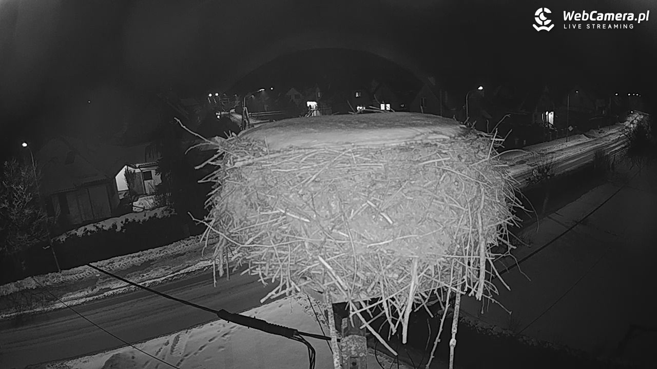 Pasłęk - gniazdo bociana - 25 styczeń 2026, 19:19