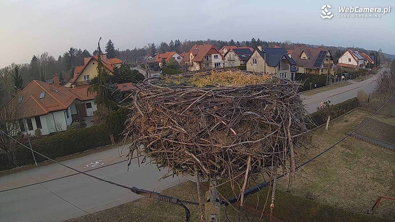 Pasłęk - gniazdo bociana - 11 marzec 2026, 17:18