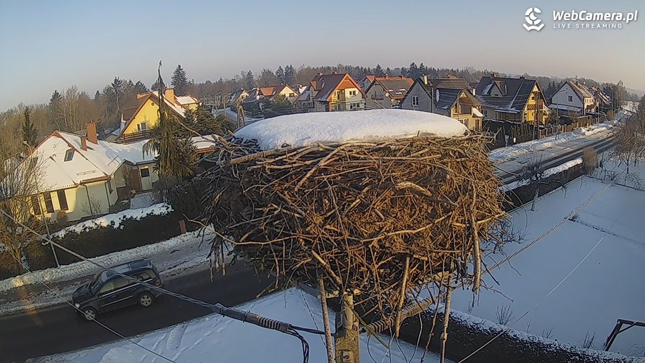 Pasłęk - gniazdo bociana - 22 styczeń 2026, 09:00