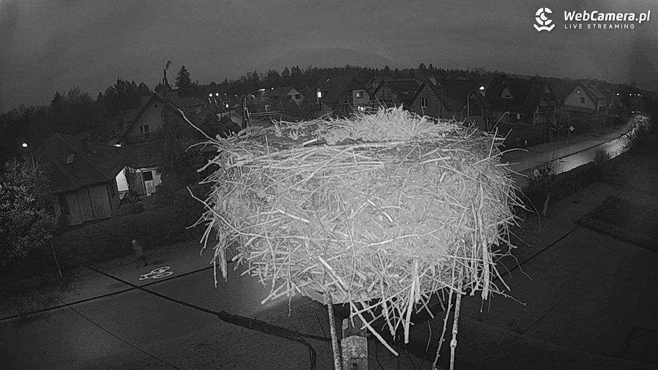 Pasłęk - gniazdo bociana - 08 grudzień 2025, 15:50