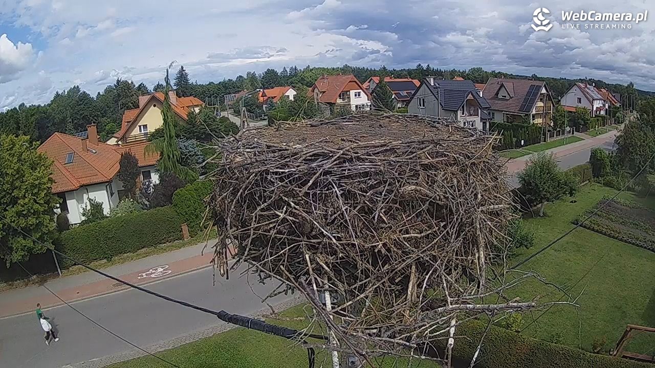 Pasłęk - gniazdo bociana - 24 sierpień 2025, 12:00