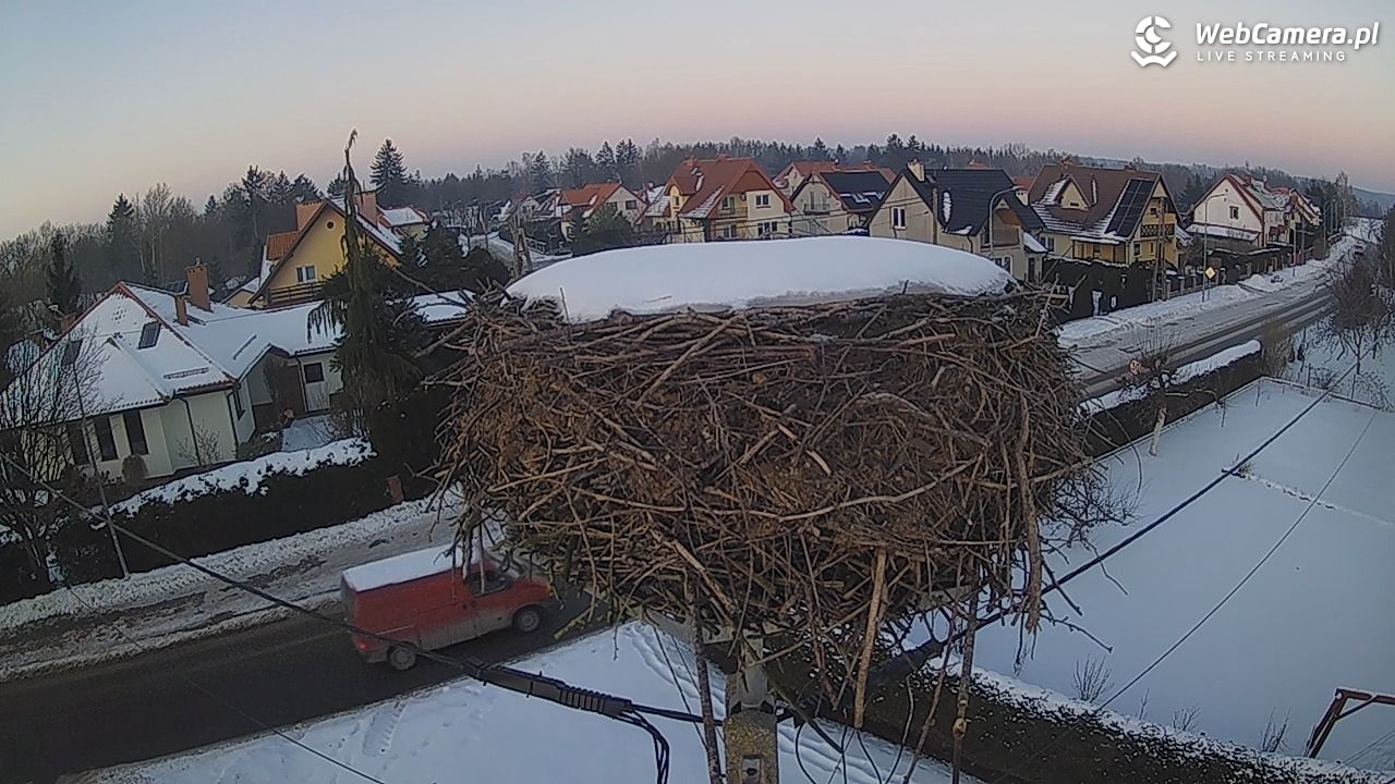 Pasłęk - gniazdo bociana - 20 styczeń 2026, 15:50
