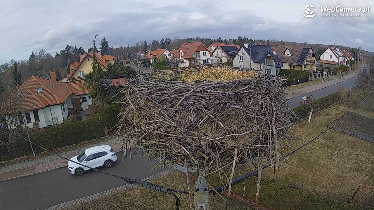 Pasłęk - gniazdo bociana - 12 marzec 2026, 15:30