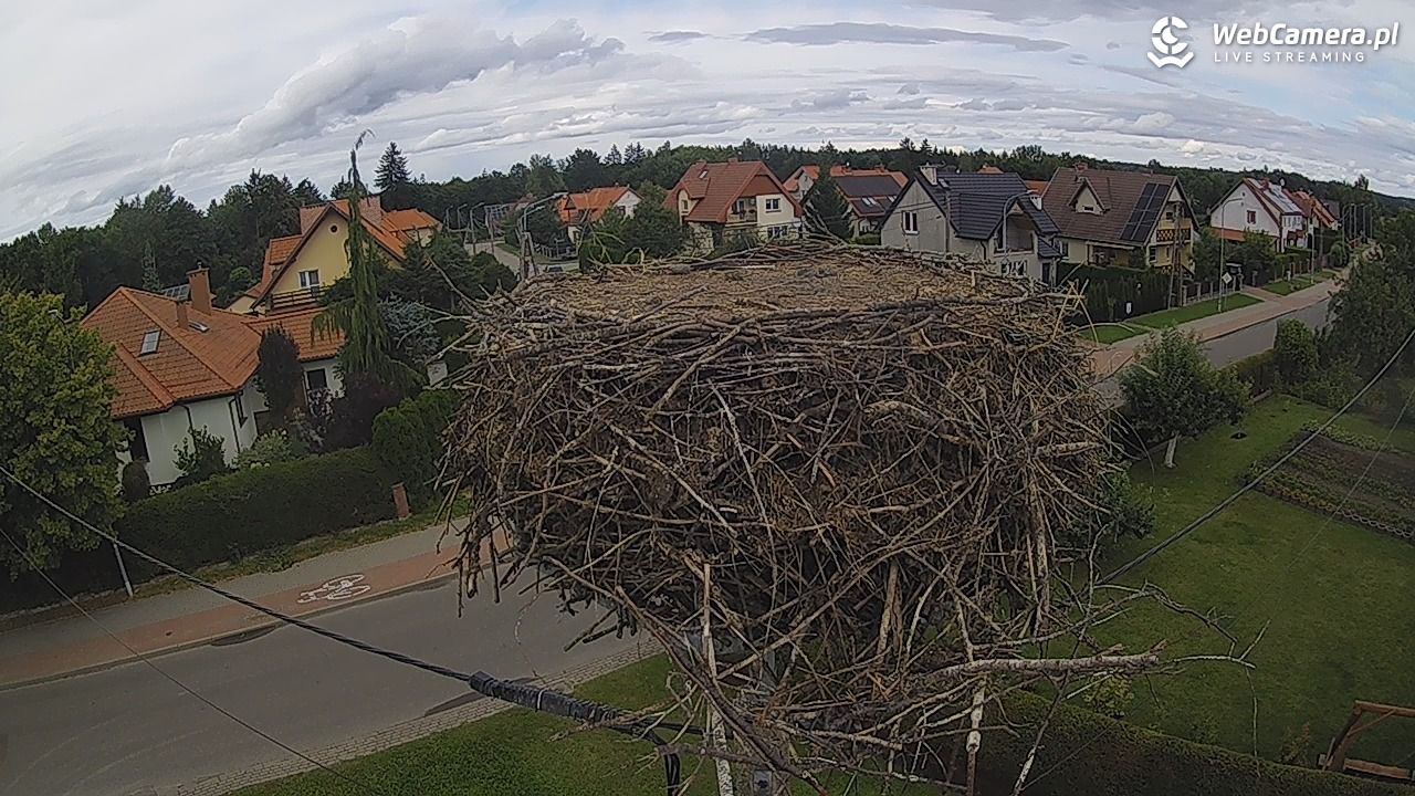 Pasłęk - gniazdo bociana - 25 sierpień 2025, 15:12