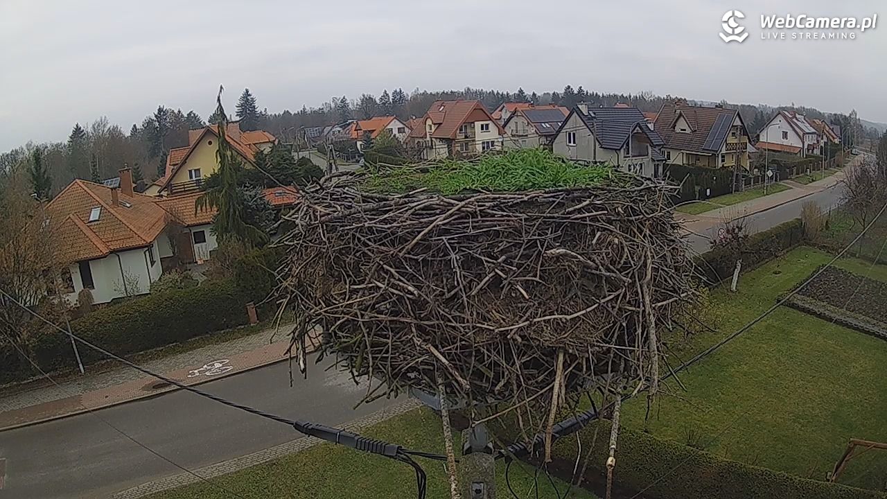 Pasłęk - gniazdo bociana - 07 grudzień 2025, 11:11