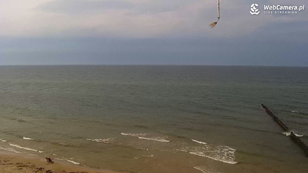 TRZĘSACZ - widok na plażę - 04 sierpień 2026, 15:44