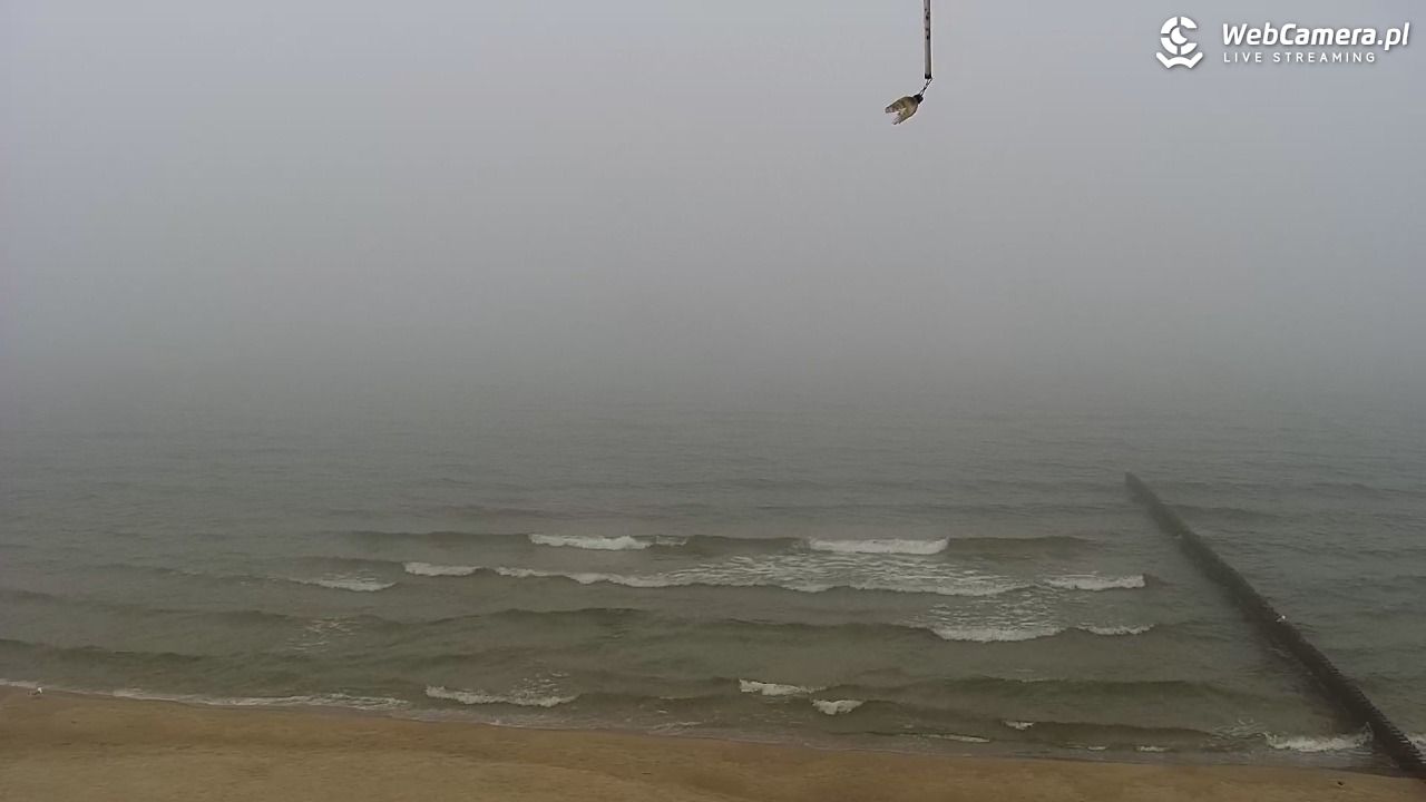 TRZĘSACZ - widok na plażę - 20 marzec 2026, 11:43