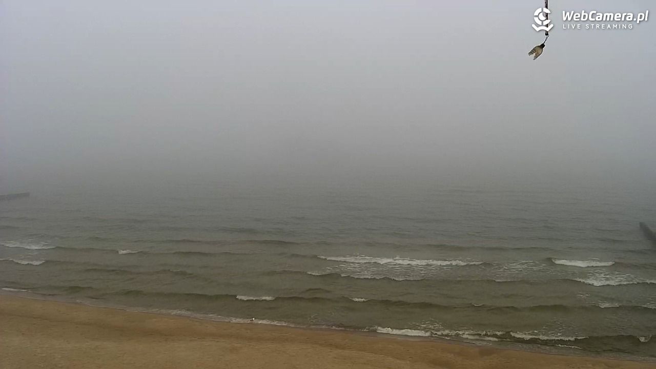 TRZĘSACZ - widok na plażę - 20 marzec 2026, 11:51