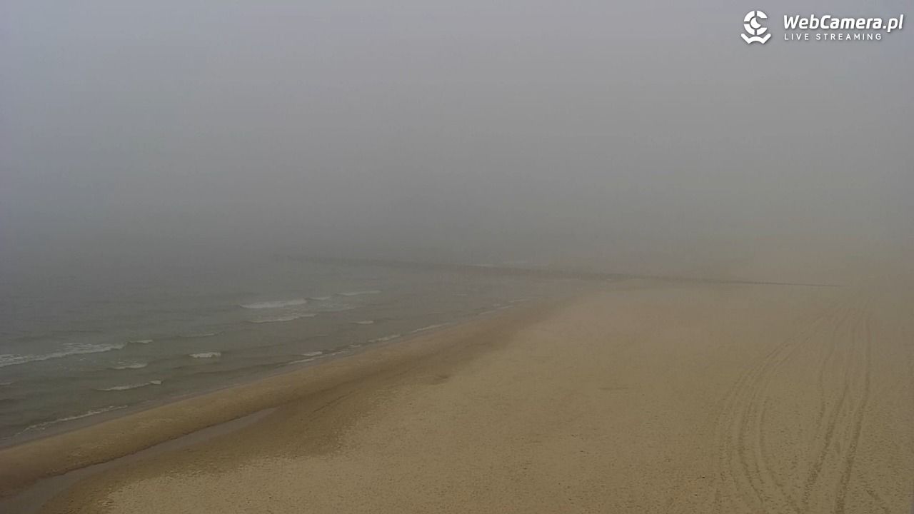 TRZĘSACZ - widok na plażę - 20 marzec 2026, 16:03