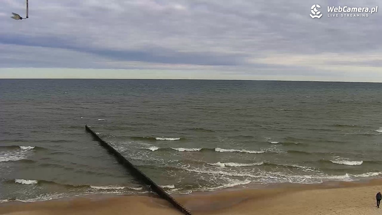 TRZĘSACZ - widok na plażę - 08 maj 2026, 07:52