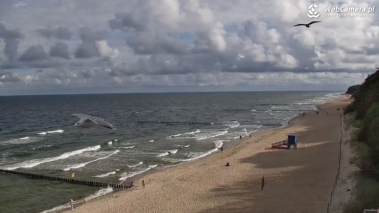 REWAL - widok na plażę - 06 wresień 2025, 09:38