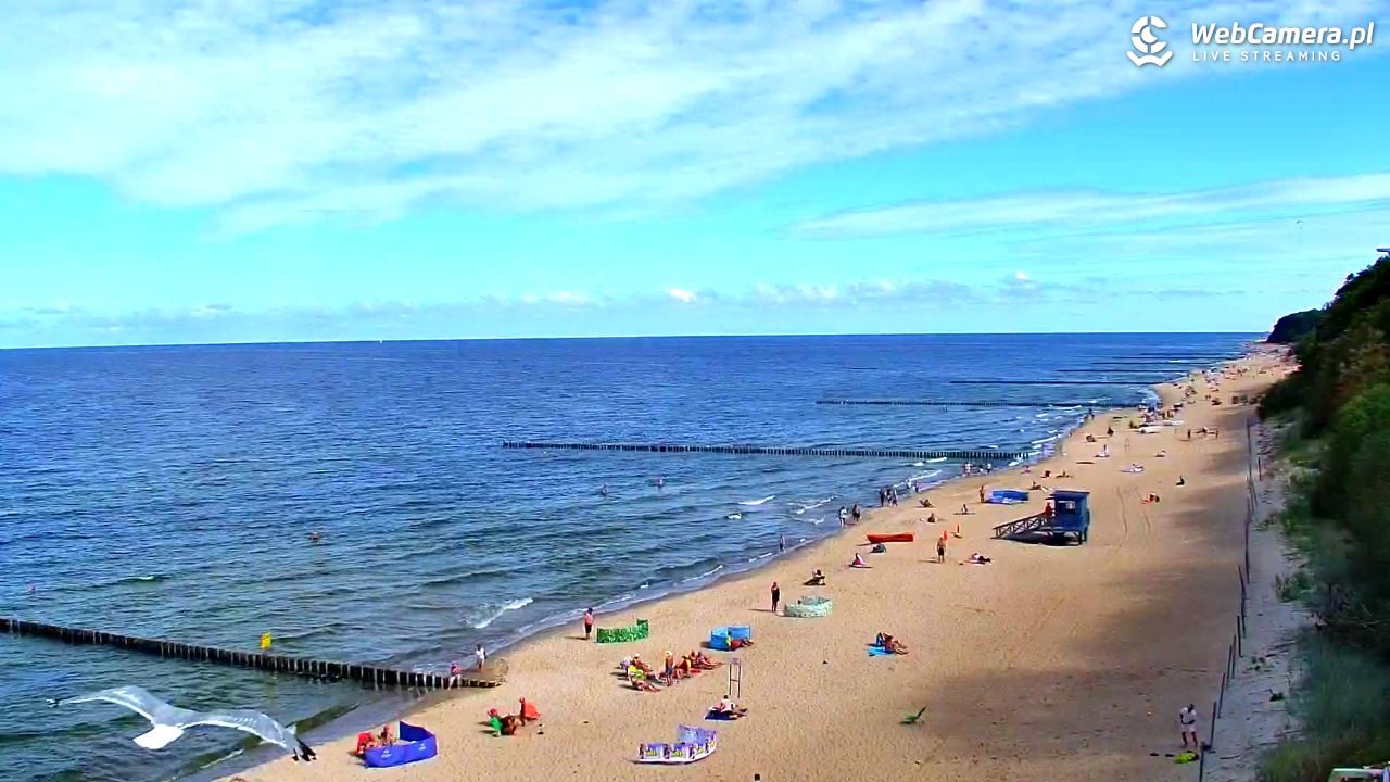 REWAL - widok na plażę - 07 wresień 2025, 12:46