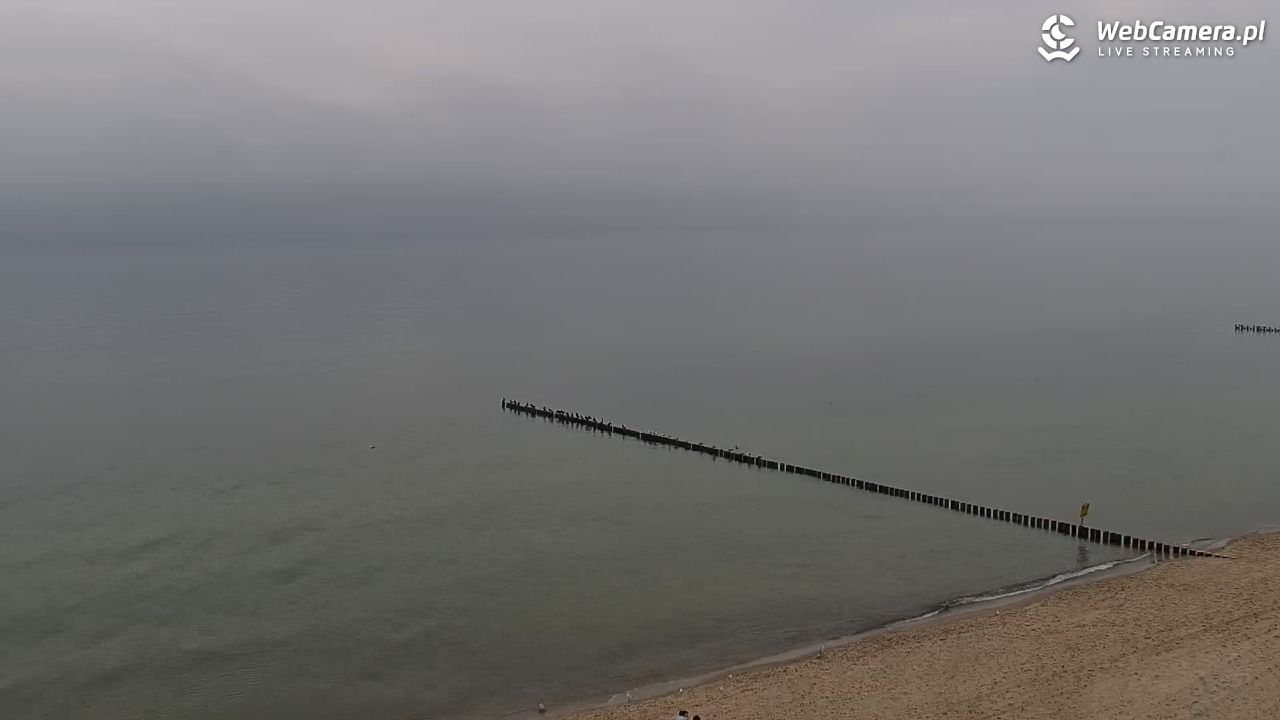 REWAL - widok na plażę - 17 październik 2026, 09:12