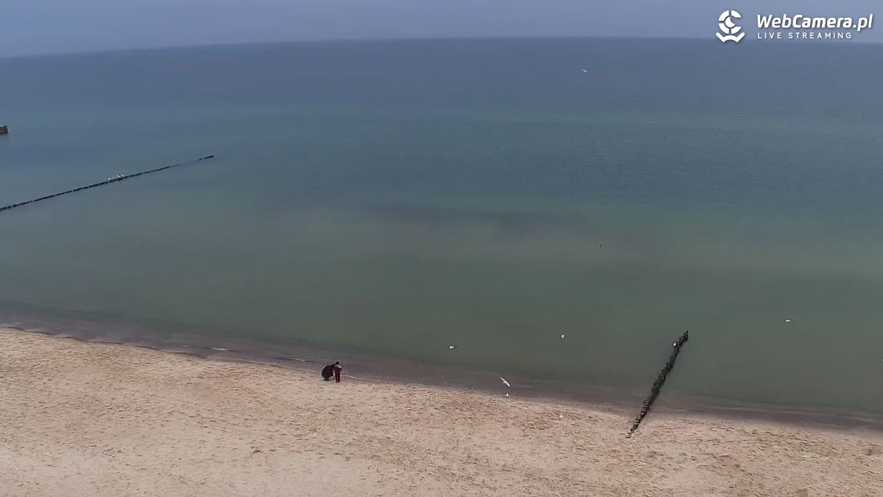 REWAL - widok na plażę - 17 październik 2026, 06:15
