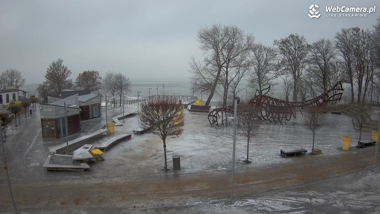 REWAL - widok na deptak - 06 luty 2026, 11:07