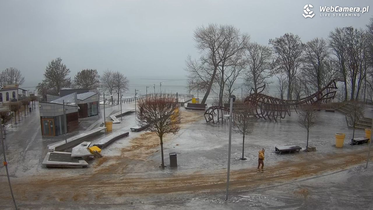 REWAL - widok na deptak - 06 luty 2026, 14:41