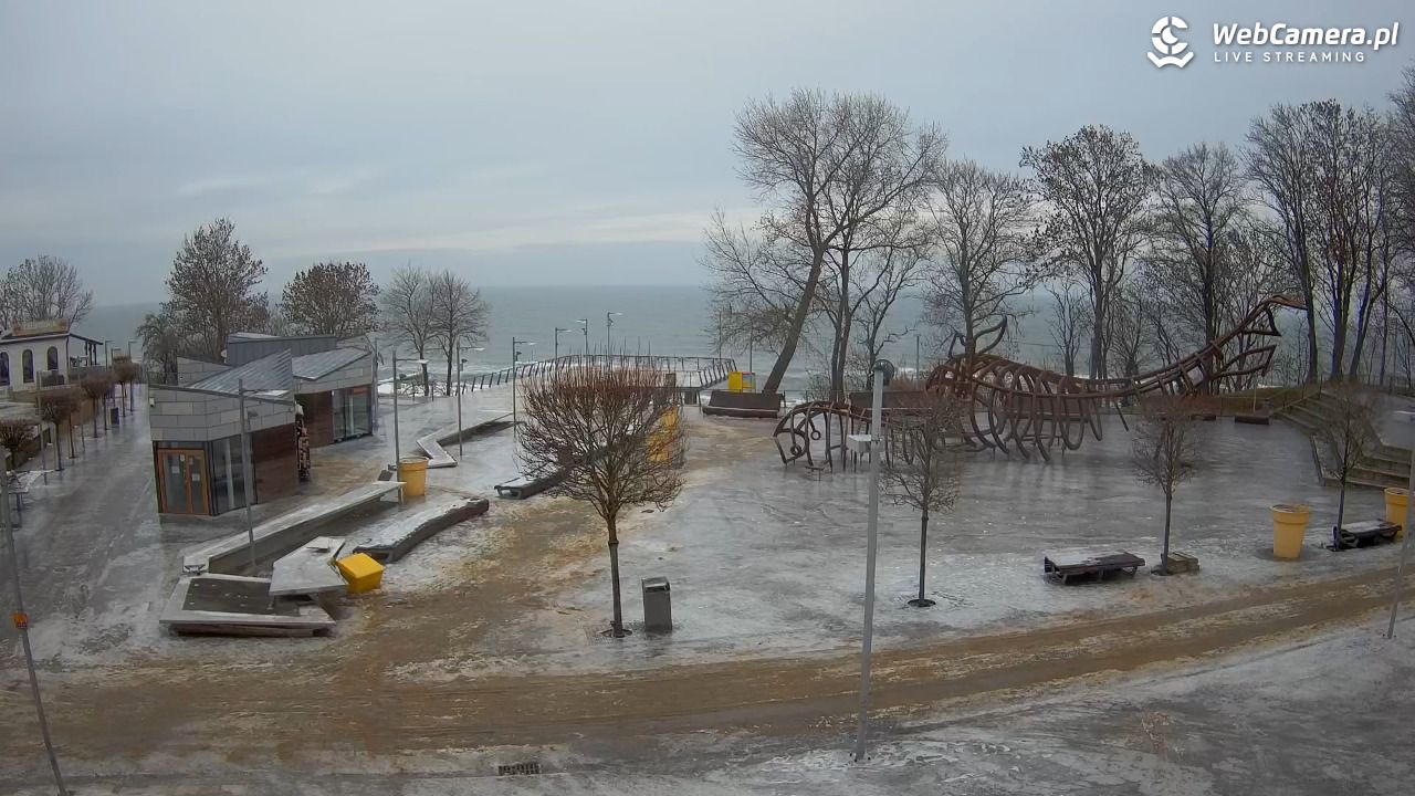 REWAL - widok na deptak - 07 luty 2026, 14:39