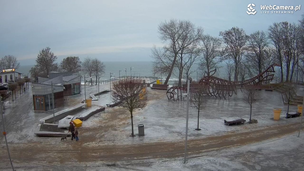 REWAL - widok na deptak - 07 luty 2026, 16:33