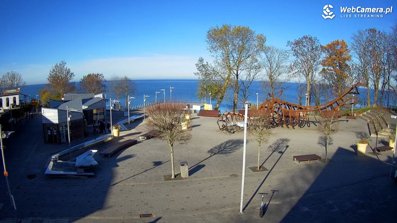 REWAL - widok na deptak - 06 listopad 2025, 11:15