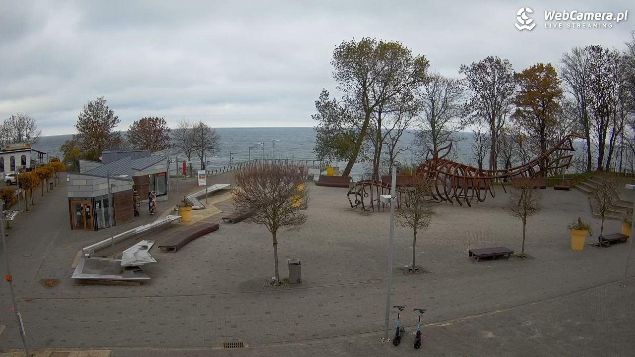 REWAL - widok na deptak - 03 listopad 2025, 11:41