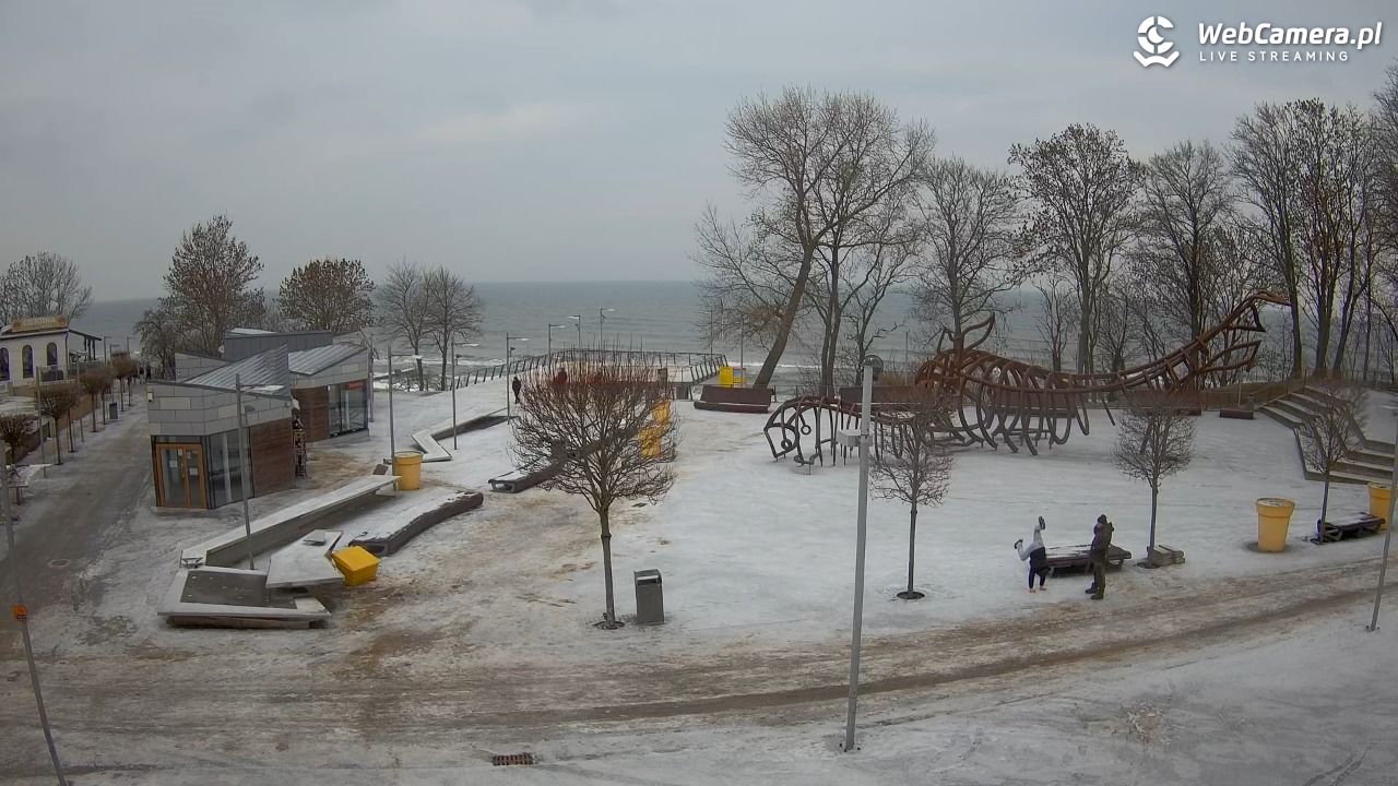 REWAL - widok na deptak - 08 luty 2026, 10:23